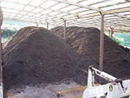 堆肥の山